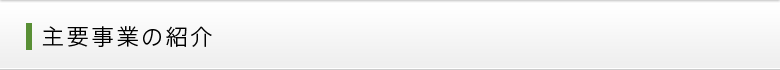主要事業の紹介